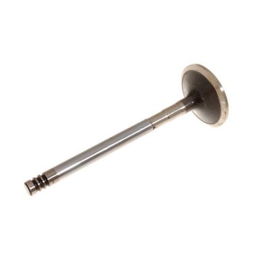 Valve Inlet 200Tdi (Gieffe) ERR1157