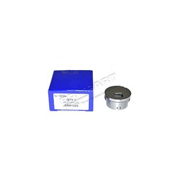 Hot Spot Plug Pre Combustion Chamber (Britpart) ERR1223
