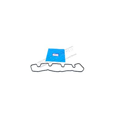 Rocker Cover Gasket 300TDI (Britpart OEM) ERR2409G
