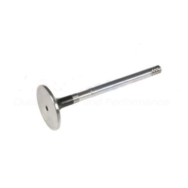 Valve Inlet 300Tdi (Eurospare) ERR3777