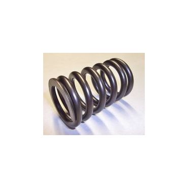 Valve Spring V8 (OEM) ERR4628
