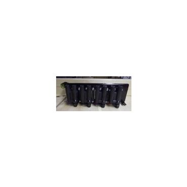 Ignition Coil Pack  (Intermotor) 4.0 4.6 94-98 ERR6269