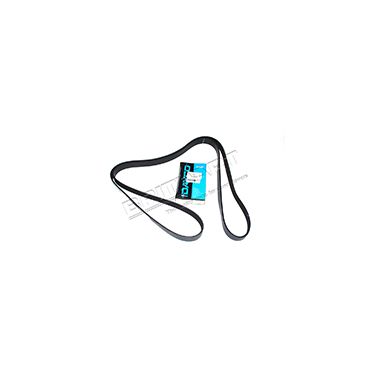 Drive Belt AIR CON D2 V8 (Dayco) ERR6898