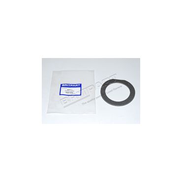 Fuel Filler Neck Gasket (Britpart) ESR1650