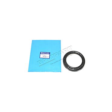 Fuel Tank Pump/Sender Locking Ring Metal (Britpart) ESR3808