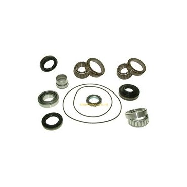 Rear Differential Diff Bearing Kit Early Small Bearing (OEM) FDK004 DA7509E