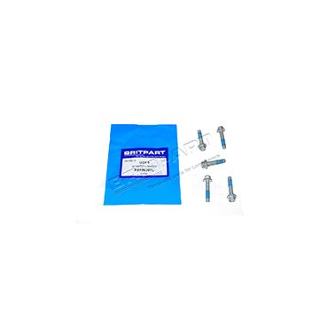 SCREW FLANGED (OEM) FS106307L