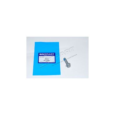 Rear Diff Mouint Screw (Britpart) - FT110357