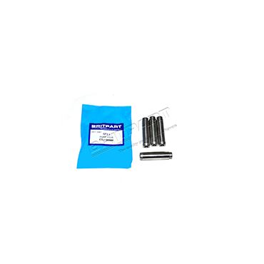 Valve Guide (Britpart) LGJ100900
