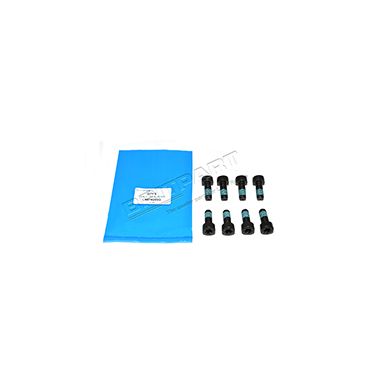 Flywheel Bolts (OEM) LR018299