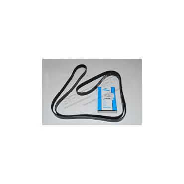 Drive Belt (Dayco) LR018312