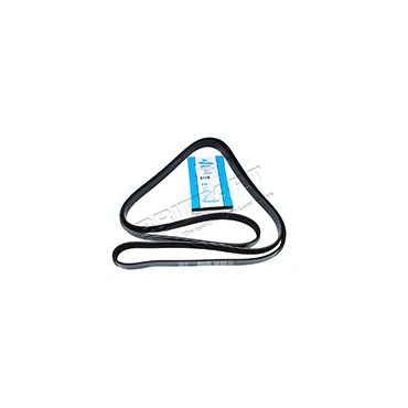 Belt Primary TDV8 4.4 (Dayco) LR022803