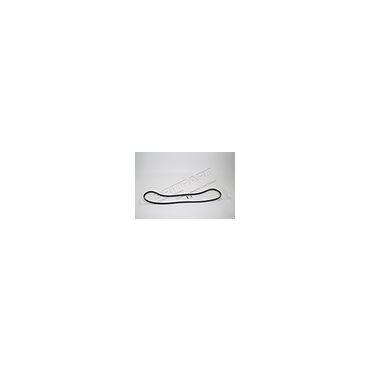 Belt Primary TDV8 4.4 (Genuine) LR022803LR