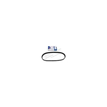 Belt Secondary TDV8 4.4 (OPTIBELT) LR022804