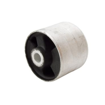 Rear Upper Arm Wishbone Bush Front (Delphi) RGX500201 LR063744