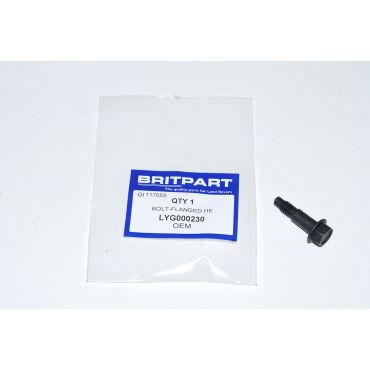 BOLT-FLANGED HE LYG000230