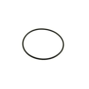 O-RING MAF (BRITPART) NTC3354