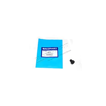 Bleed Screw L322 BMW (Britpart) PEI000010