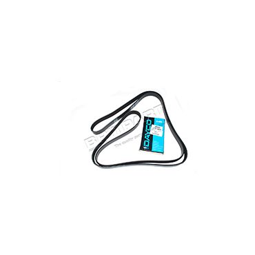 Drive Belt 4.2 SC (Dayco) PQR500251 PQR500340 *Primary*