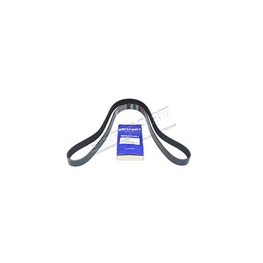 BELT PQS000030