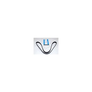 BELT (DAYCO) PQS101030