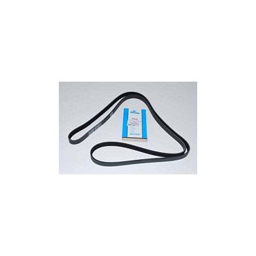 Drive Belt Td4 Alternator  (Dayco) PQS101300LG