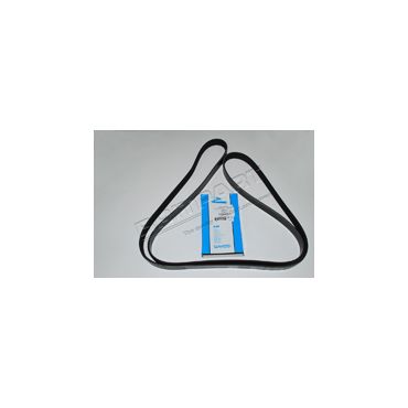 V-BELT PQS500081G