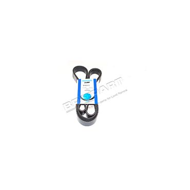 Drive Belt 3.6 Tdv8 (Dayco) PQS500430