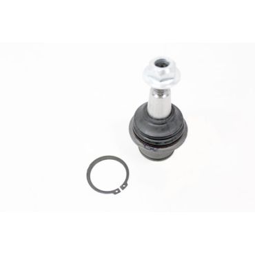Ball Joint Front Lower (Delphi) RBK500300