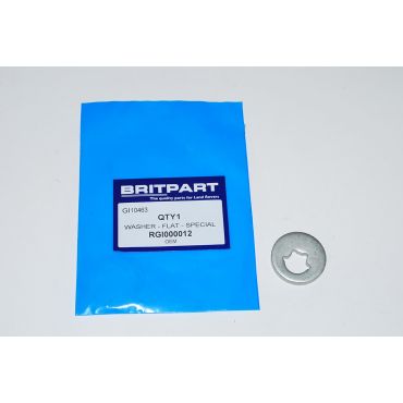 WASHER - FLAT - SPECIAL RGI000012 RGI000011