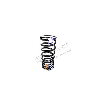 Coil Spring Rear 110 98 On (Britpart) RKB101111