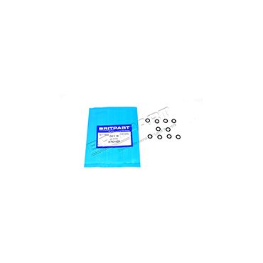 O RING X10 RTC4825