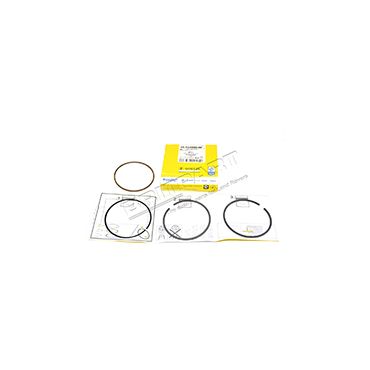 Piston Rings V8 3.9/4.2 *STD* (AE) RTC6066SG