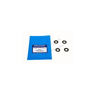 ACE Pipe Special Washer (Britpart) RYF100420