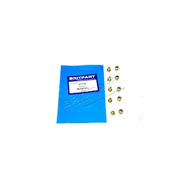 Door Handle Screw 90/110 (Britpart) SE105101L LR024165