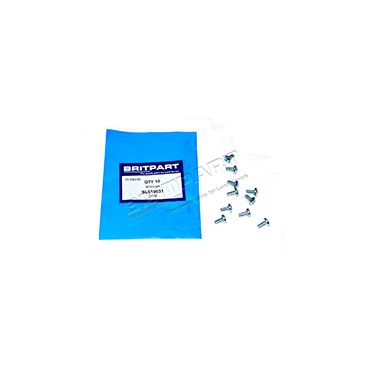 SCREW (OEM) SL510031 