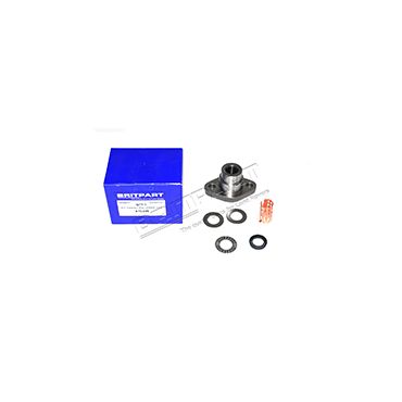 Upper Swivel Pin Kit (OEM) STC226