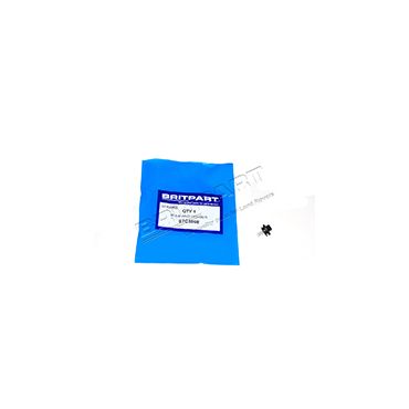Bulb & Holder Hevac Black Base (Britpart) STC3868