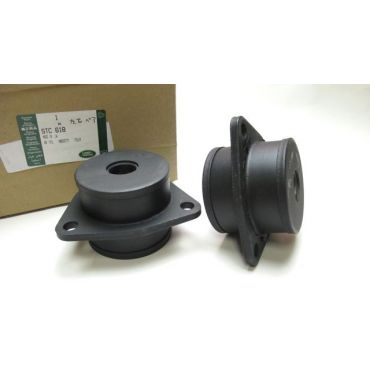 Bush Rear Trailing Arm 90/110 D1 RRC (Genuine) NTC9027 STC618 *Pair*