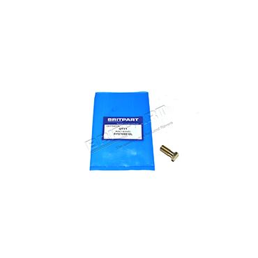 Banjo Bolt Flexi Hose (Britpart) BNP1243L SYG100510L