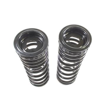 Air To Coil Spring Conversion Kit D2 (Terrafirma) TF225