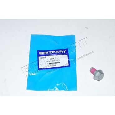 Viscous Coupling Damper Ring Bolts (OEM) TYG100660