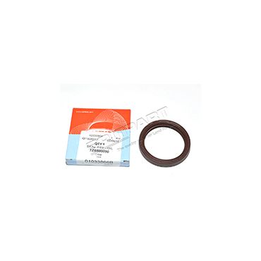 Oil Seal (Corteco) TZB500090