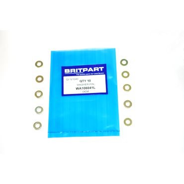 WASHER PIN (OEM) WA106041L