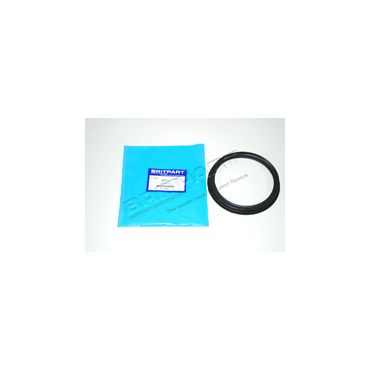 Fuel Tank Pump/Sender Sealing Ring (Britpart)  WGQ500020 ESR3806