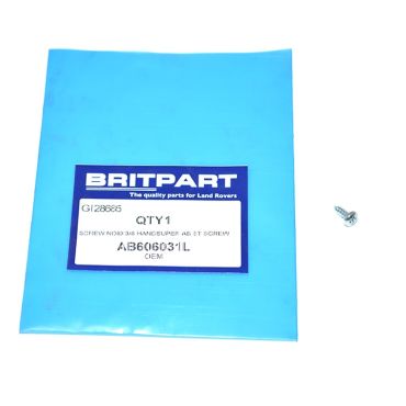 Window Channlel Screw (Britpart/OEM) AB606031L