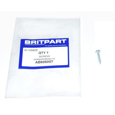SCREW AB606057