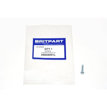 SCREW AB608061L