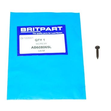 SCREW (OEM) AB608065L