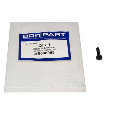 SCREW TAPPING AB608068